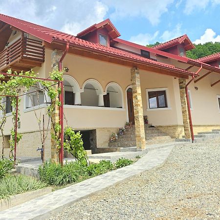 Casa Hera Calimanesti Exterior foto