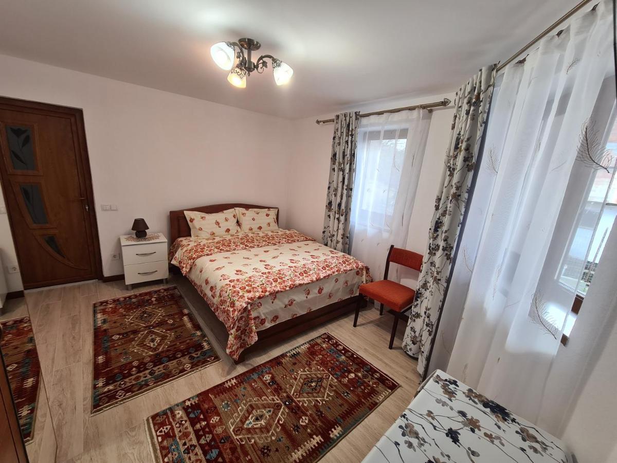 Casa Hera Calimanesti Exterior foto