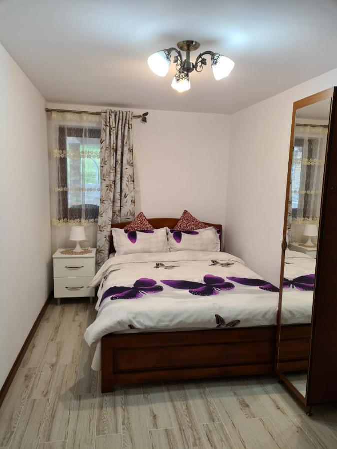 Casa Hera Calimanesti Exterior foto
