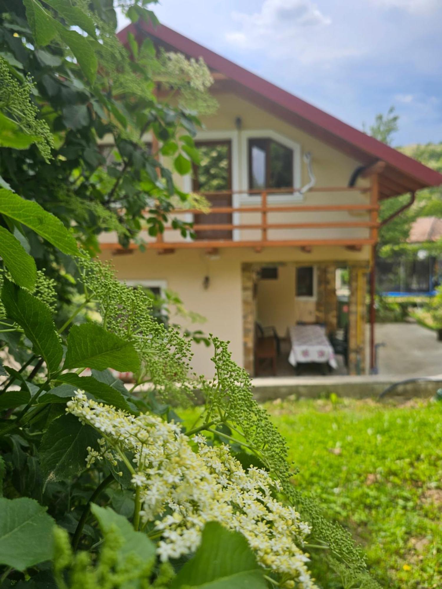 Casa Hera Calimanesti Exterior foto